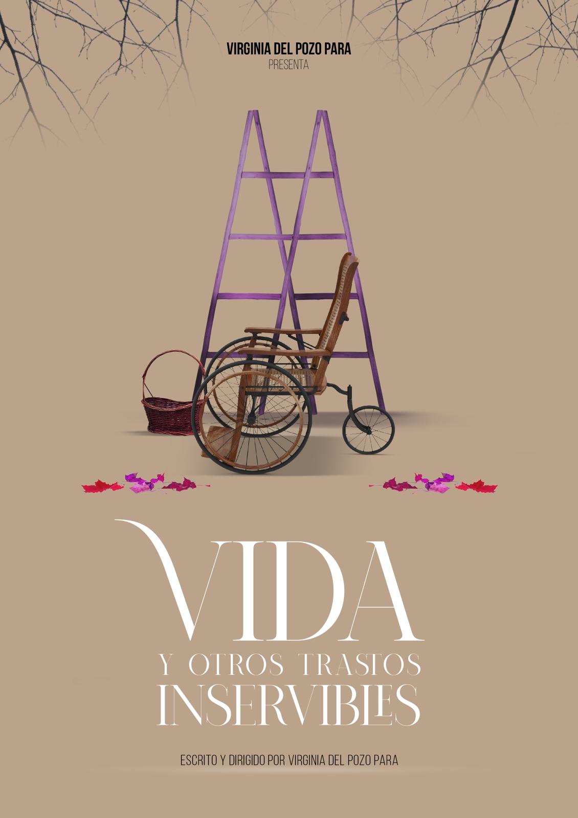 Vida y otros trastos inservibles. Cartel de un montaje teatral dirigido e interpretado por Virginia del Pozo, llamado Vida y otros trastos inservibles.